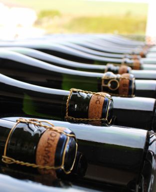 didier goussard champagne