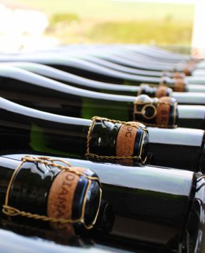 didier goussard champagne