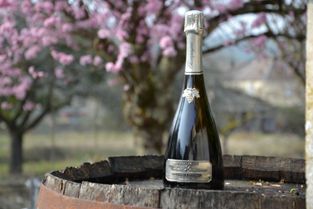 une bouteille de champagne